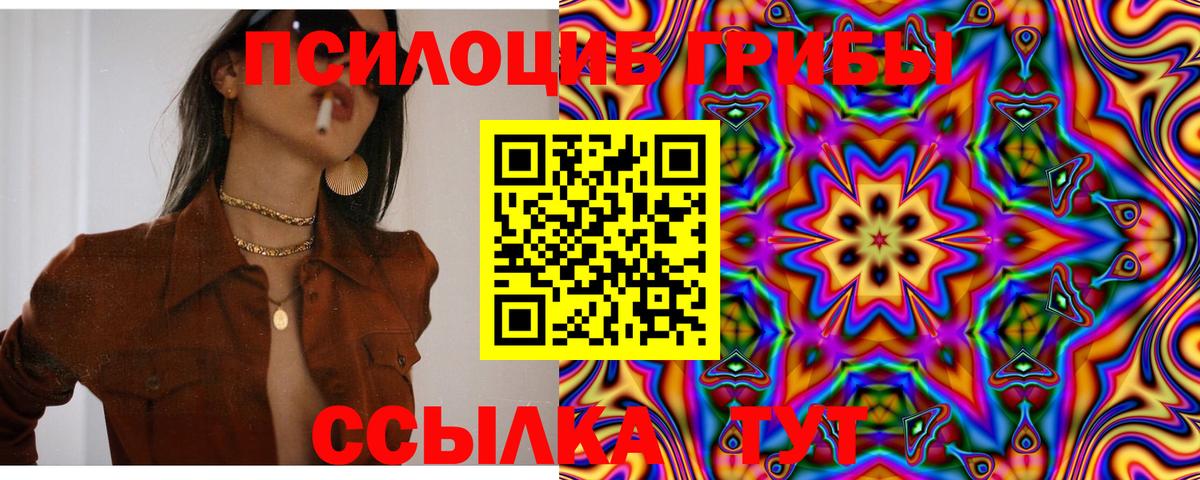 Галлюциногенные грибы GOLDEN TEACHER Карачаевск