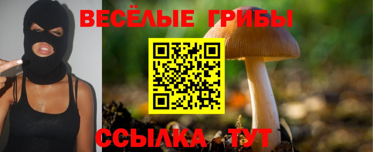 продажа наркотиков  Вход с VPN  Карачаевск  Галлюциногенные грибы ЛСД 